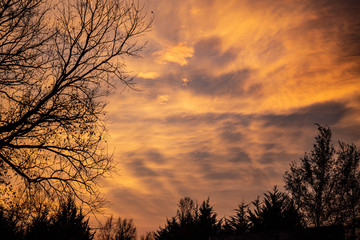 Golden sunset over a rural landscape and countryside with trees silhouetted