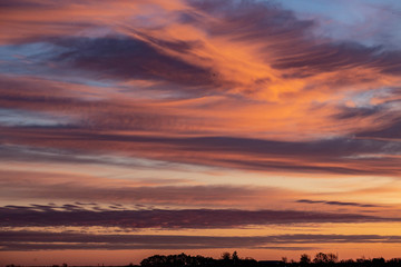 Golden sunrise over a rural countryside with trees in silhouette