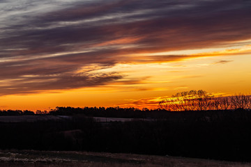 Golden sunrise over a rural countryside with trees in silhouette