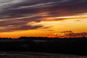 Golden sunrise over a rural countryside with trees in silhouette