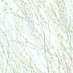 Beautiful spring willow branch. Spring willow branch with buds and catkins.Wedding ornament concept. Floral poster, invite. Decorative greeting card or invitation design background