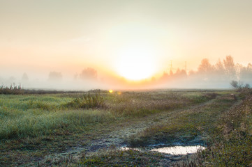 Misty daybreak in the village. green meadow after rain