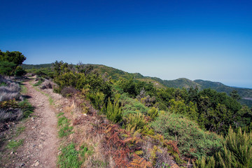 Parco nazionale Garajonay - La Gomera