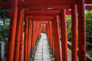 Fototapeta na wymiar Nezu Shrine, Tokyo