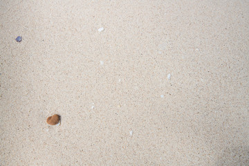 Sand on the beach for background