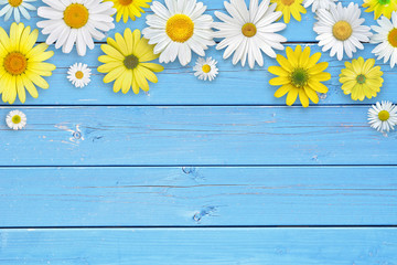 White and yellow daisy flowers on blue wooden table background. Beautiful spring composition,...