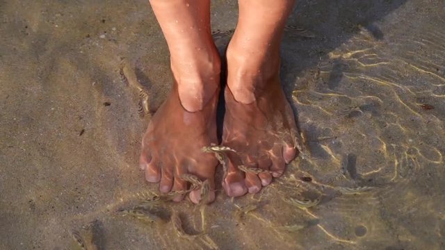 Fish spa foot massage in the sea