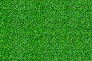 Obraz na płótnie Canvas Green grass pattern and texture for background. Close-up image.