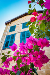 Flowers on a background of a Mediterranean house