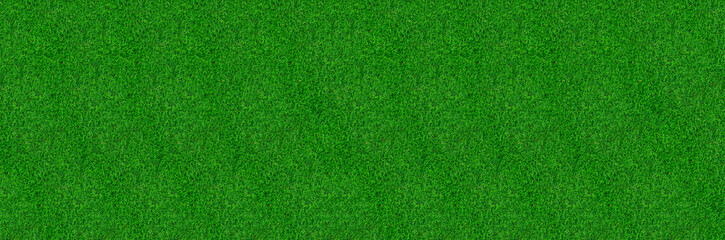 Plakat Green grass pattern and texture for background. Close-up image.