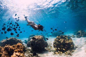 Free diver girl glides with school of fishes in blue sea