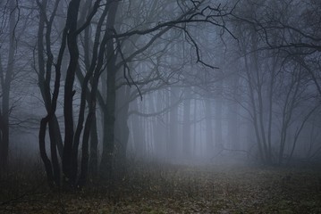 Gloomy dawn © jacf5244