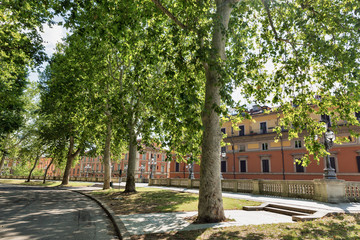 Montagnola Park in the city historic center. Bologna, Italy.