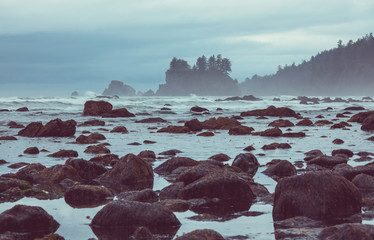 Olympic coast