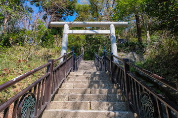 鎌倉 源頼朝の墓 参道