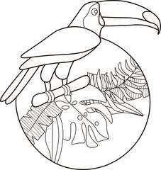 Toucan in jungle illustration. Toucan logo template. Toucan in jungle black isolated on white background.  Toucan with jungle leafs in circle. © Oleh