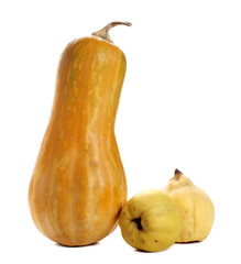 Muscat squash and quince isolated on white background