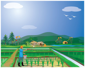 farmer manure rice plant vector design