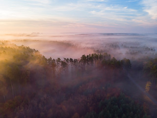 Mgła las wschód słońca drzewa jesień mgliście © Dariusz
