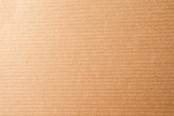 Fototapeta na wymiar Parchment texture. Brown paper background