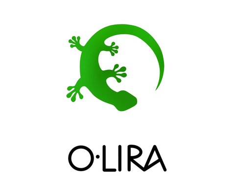 Lizard logo vector 