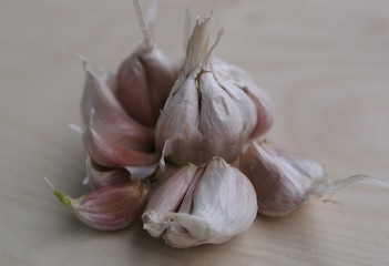 Garlic for sowing and for eating on a wooden board