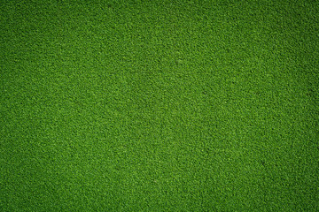 Fresh green grass background turf top view - Powered by Adobe