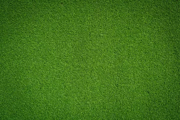  Fresh green grass background turf top view © worawut