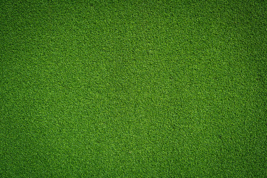 Fresh green grass background turf top view
