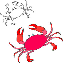 Crab graphic icon. Crab color sign (and black&white) isolated on white background. Crab illustration.