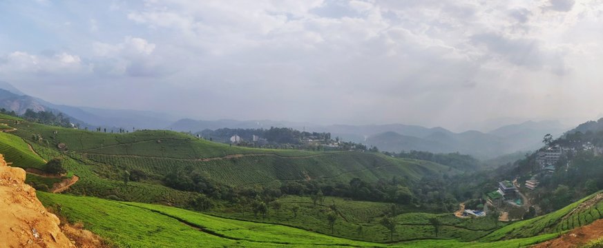 Panorama of a landscape filled with greenery (tea plantation) and cloudy sky in Munnar, Kerala, India.