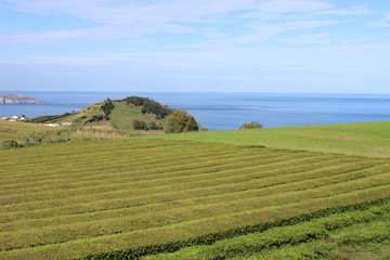 Fototapeta na wymiar The Azores Islands: Terceira