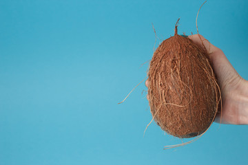 coconut isolated on blue background