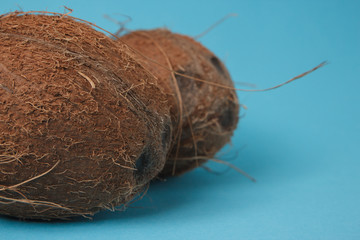 coconut on blue background