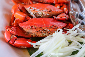 fresh delicious sea crab seafood plate
