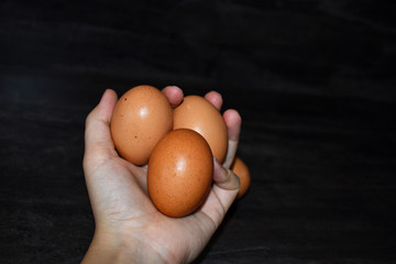 brown egg in hand