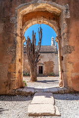 Naklejka premium View of a dry tree through an arch