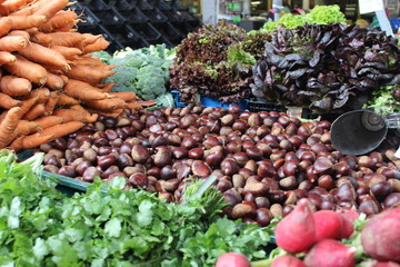 The Azores Islands: San Miguel