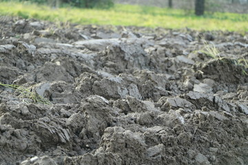 natur