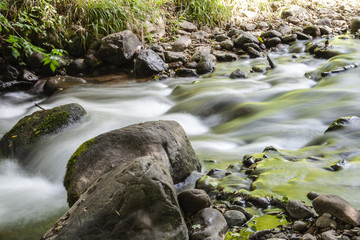 Ruscello, acqua in movimento