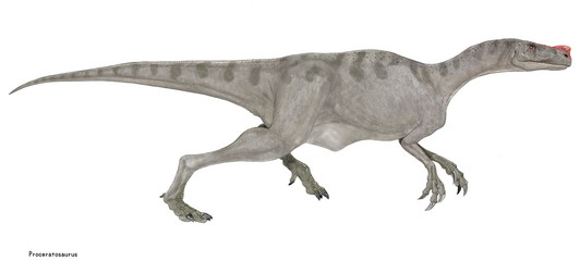 Obraz na płótnie Canvas プロケラトサウルス　ジュラ紀中期にヨーロッパに生息していた肉食恐竜。鼻筋に鶏冠を持つことからケラトサウルスの祖先とされていたが、のちにティラノサウルス上科に新たに発見された鶏冠を持つグアンロンとともにプロケラトサウルス科として分類され、ティラノサウルスの仲間に分類されている。