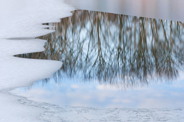 Abstract winter landscape of ice and reflected trees in calm water near sunset, Lake Doster, Michigan, USA