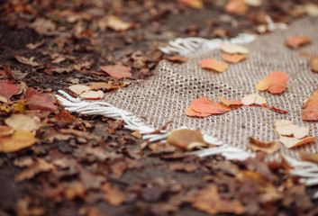 A knitted blanket with fallen autumn leaves lies on the ground. Autumn picnic