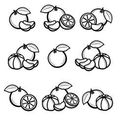 Mandarin set. Collection icons mandarin. Vector