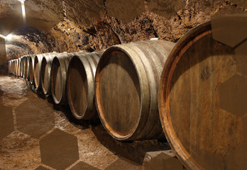 Barrels in a wine cellar