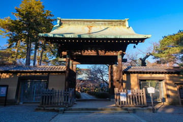 世田谷 豪徳寺 山門