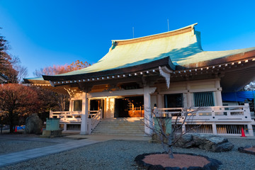 世田谷 豪徳寺 本堂
