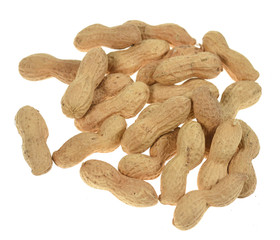 Peanuts isolated on white background
