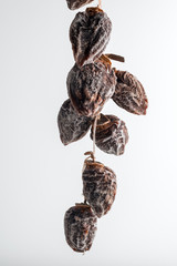 dried persimmon hanging on rope on white background