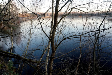 View of frozen lake and many tree branches in the foreground. landscape with a lake covered with ice and trees in the foreground